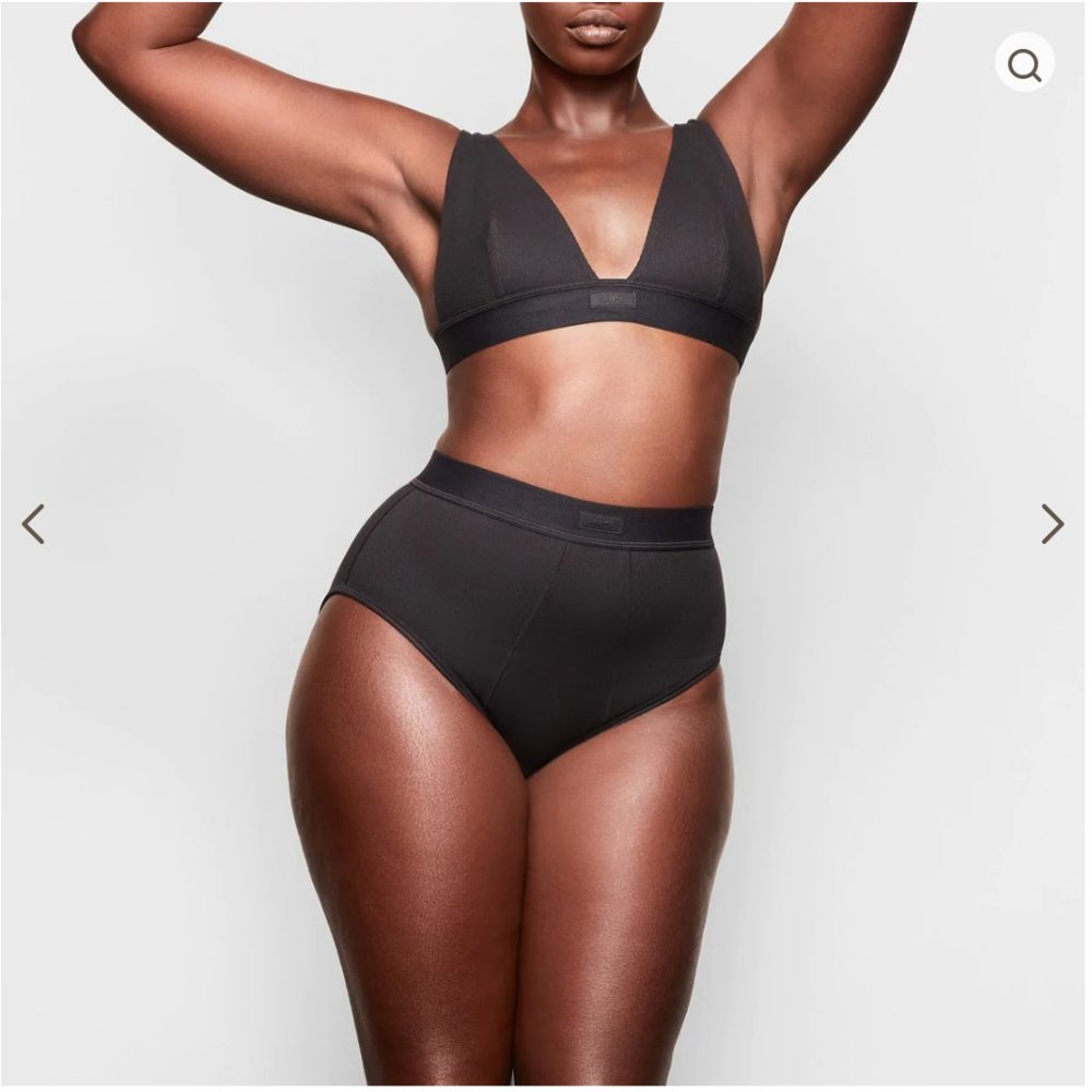 Skims - Cotton Rib Brief in Soot in Size 2X